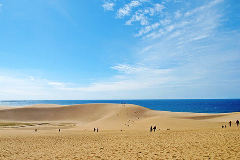 鳥取県で布団レンタルならKASIFUTON｜境港市・東伯郡琴浦町・八頭郡八頭町...