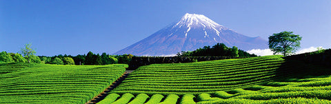 静岡の布団レンタルならKASIFUTON |静岡市、沼図市、磐田市、御殿場市、伊豆市..